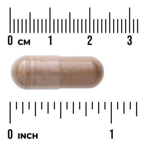 Swanson Full Spectrum Guarana 500mg 100 Capsuless herbal supplement capsule bottle 60 capsule size