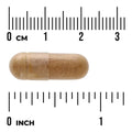 Swanson Shilajit Extract 400mg 60 Veggie Capsules size comparison with measurement scale