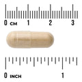Swanson Milk Thistle Combination 175 mg – 60 Capsules capsule size comparison with measurement scale