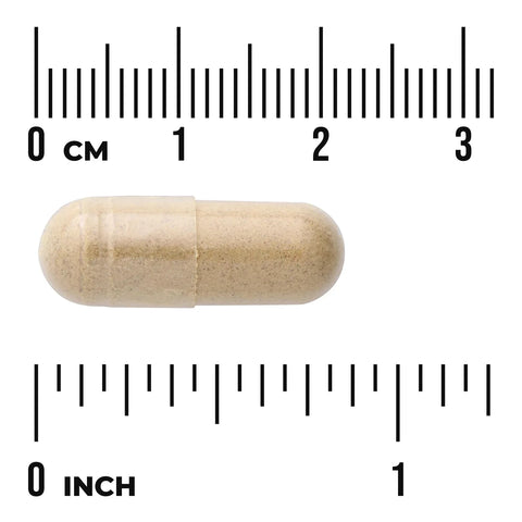 Swanson Milk Thistle Combination 175 mg – 60 Capsules capsule size comparison with measurement scale