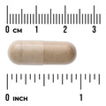 Swanson Full Spectrum Tribulus Fruit 500mg 90 Capsules herbal supplement capsule bottle 60 capsule size