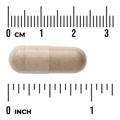 Swanson Full Spectrum Tribulus Fruit 500mg 90 Capsules herbal supplement capsule bottle 60 capsule size