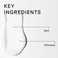 Acure Vivacious Volume Conditioner ingredient label peppermint echinacea quinoa protein 236ml