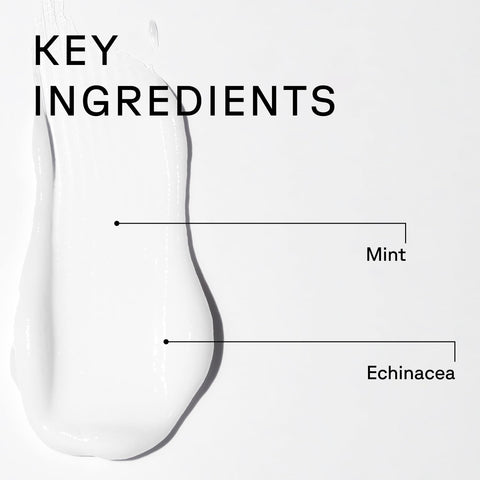 Acure Vivacious Volume Conditioner ingredient label peppermint echinacea quinoa protein 236ml
