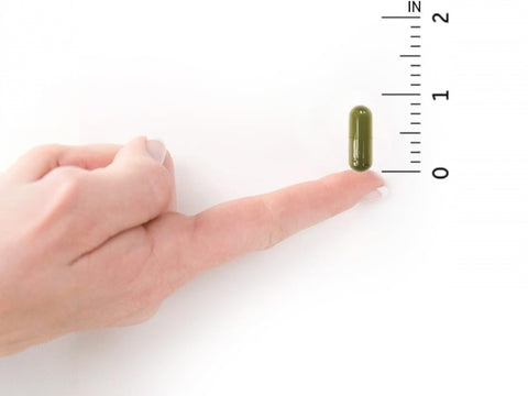 Garden of Life Vitamin D3 5000 IU Whole Food 60 Veg Capsules capsules product view