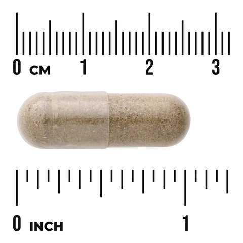 Swanson Full Spectrum Black Cohosh Root 540 mg capsule size comparison with measurement scale