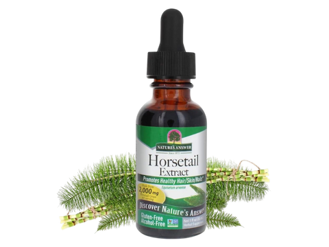 Nature's Answer Alcohol-Free Horsetail Extract 30ml liquid herbal supplement front label with horsetail