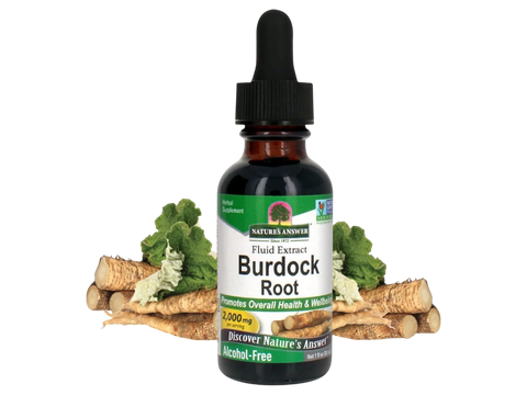 Nature’s Answer Burdock Root alcohol-free liquid extract 30ml bottle front label