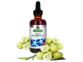 Nature’s Answer Liquid Vitamin B12 natural flavour 60ml bottle front label