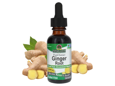 Nature's Answer Alcohol-Free Ginger Root Extract 30ml liquid herbal supplement front label with ginger