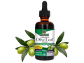 Nature’s Answer Olive Leaf alcohol-free liquid extract 60ml bottle front label