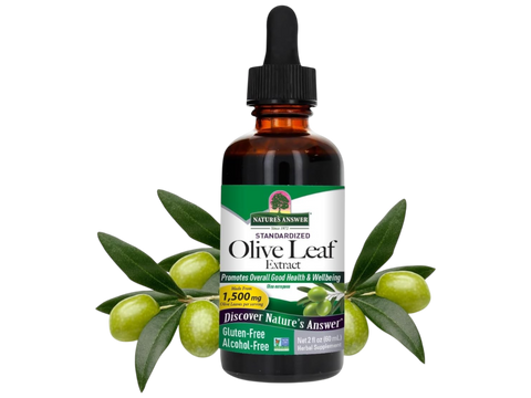 Nature’s Answer Olive Leaf alcohol-free liquid extract 60ml bottle front label