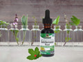 Nature's Answer Goldenseal Root Extract Alcohol-Free - 30ml