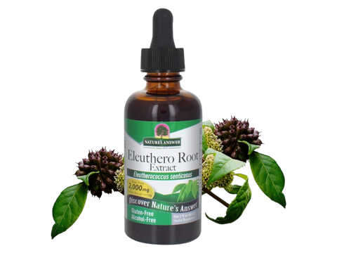Nature’s Answer Eleuthero root alcohol-free liquid extract 60ml bottle front label