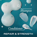 OGX renewing conditioner ingredients