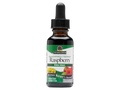 Nature's Answer Alcohol-Free Raspberry Extract 30ml liquid herbal supplement front label