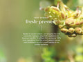 Fushi Organic Tamanu Oil 50 ml key benefits graphic highlighting purifying care for problem and blemish prone skin