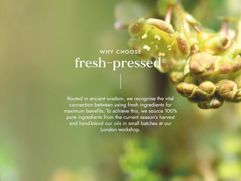 Fushi Organic Tamanu Oil 50 ml key benefits graphic highlighting purifying care for problem and blemish prone skin