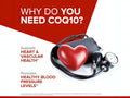 Qunol CoQ10 100 mg dual solubility technology absorption benefits graphic