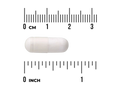 Swanson Chromium Picolinate 200mcg 120 capsule size