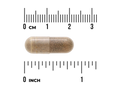 Swanson Ashwagandha Extract 450mg herbal supplement capsule size