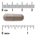 Swanson Chasteberry Supplement 400mg 120 Vegan Capsules Pack of 2 herbal supplement capsule bottle 60 capsule size