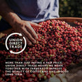 Union Half Caff Ground Coffee Medium Roast 200g Union Direct Trade 