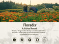 Floradix Calcium Liquid Supplement, Vegan 