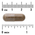 Swanson Horny Goat Weed Extract 500mg 120 Capsules herbal supplement capsule bottle 60 capsule size