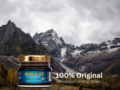 The Good Guru Purified Himalayan Source Shilajit Resin - 30g