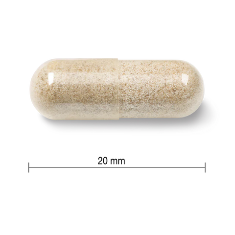 Jamieson Iron 28mg bottle, 150 capsule size.