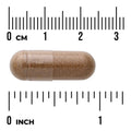 Swanson Cordyceps 120 Capsules Pack of 2