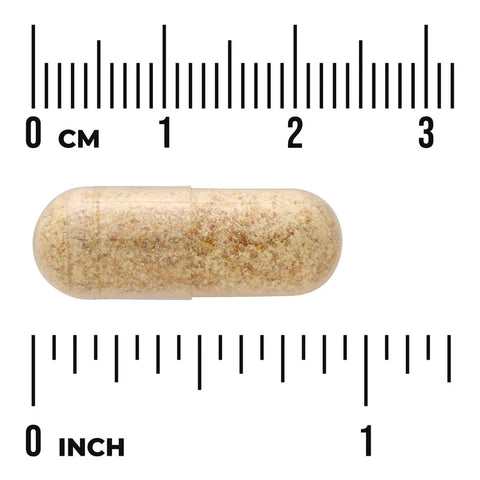 Swanson Full Spectrum Fenugreek Seed 610mg 90 Capsules herbal supplement capsule bottle 60 capsule size