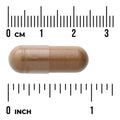 Swanson Full Spectrum Lion's Mane Mushroom 500mg 60 Capsules capsule size comparison with measurement scale