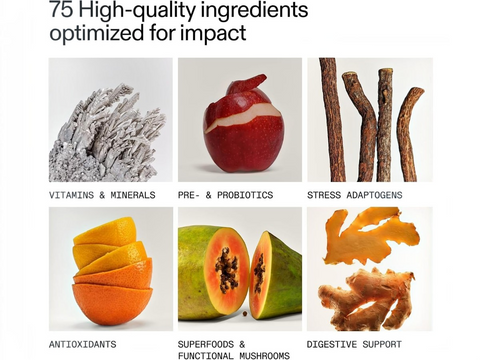 A promotional graphic with the headline '75 High-quality ingredients optimized for impact' above six labeled food/ingredient panels: a mineral cluster for vitamins and minerals, a red apple for pre- & probiotics, tree roots for stress adaptogens, orange slices for antioxidants, papaya halves for superfoods & functional mushrooms, and ginger roots for digestive support, all on a white background.