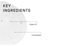 Diagram showing key ingredients with labels 'Mint' and 'Echinacea' on a white background.