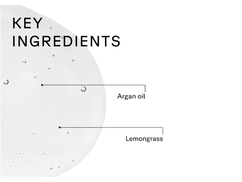Diagram showing key ingredients with labels 'Mint' and 'Echinacea' on a white background.