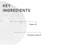 Diagram showing key ingredients with labels 'Mint' and 'Echinacea' on a white background.
