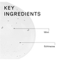 Diagram showing key ingredients with labels 'Mint' and 'Echinacea' on a white background.