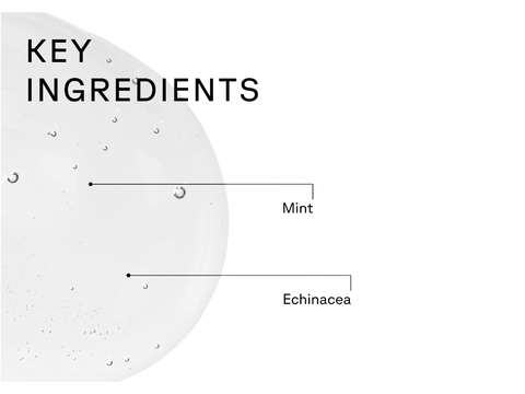 Diagram showing key ingredients with labels 'Mint' and 'Echinacea' on a white background.