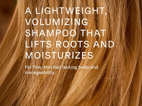 Text about a volumizing shampoo for thin hair with brown hair background