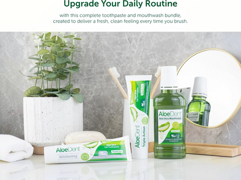 AloeDent toothpaste, mouthwash, and other dental care products on a bathroom counter with a plant and mirror in the background.