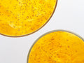 Altrient Liposomal Vitamin C 1000mg