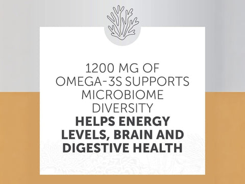 Aqua Biome by Enzymedica Classic Strength Omega 3 Fish Oil 60 softgels omega 3 support benefits graphic