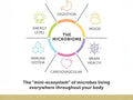 Aqua Biome by Enzymedica Maximum Strength Omega 3 Fish Oil 60 softgels product graphic