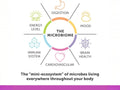 Aqua Biome by Enzymedica Omega 3 Fish Oil 60 softgels digestive and omega support benefits graphic