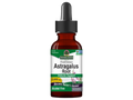Nature's Answer Alcohol-Free Astragalus Root Extract 30ml liquid herbal supplement front label