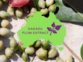 Kakadu plum extract with green label and purple leaf logo on a natural background