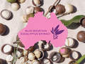 Blue Mountain Eucalyptus Extract logo with eucalyptus leaves and buds on a textured background