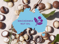 Macadamia nuts with a blue circle featuring 'Macadamia Nut Oil' text and logo on a textured background.